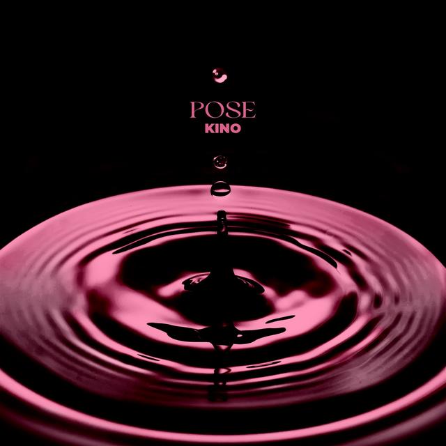 Album cover art for Pose