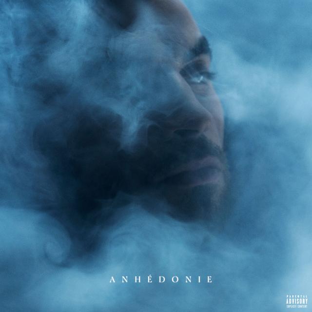 Album cover art for Anhédonie