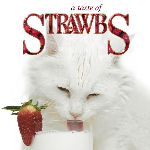 Album cover art for A Taste of Strawbs