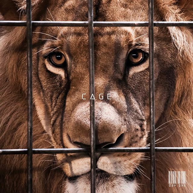 Album cover art for Cage - Single