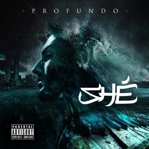 Album cover art for Profundo