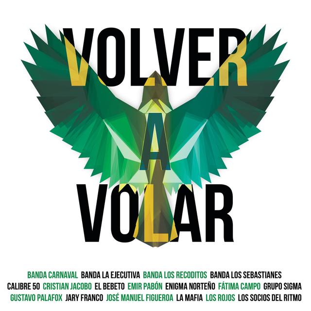 Album cover art for Volver a Volar