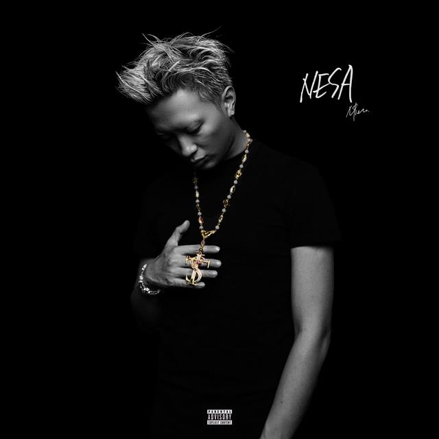 Album cover art for NESA