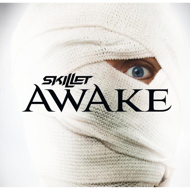 Album cover art for Awake