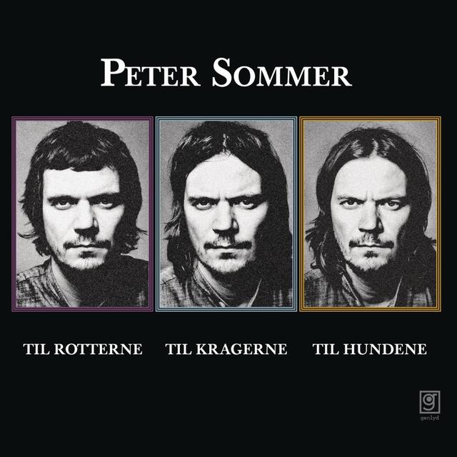 Album cover art for Til Rotterne, Til Kragerne, Til Hundene