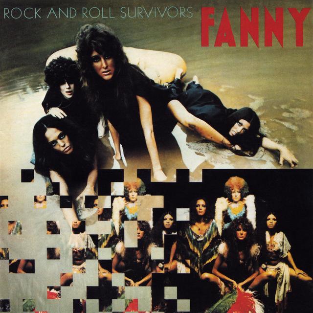 Album cover art for Rock And Roll Survivors