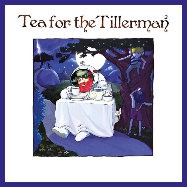 Album cover art for Tea for the Tillerman²